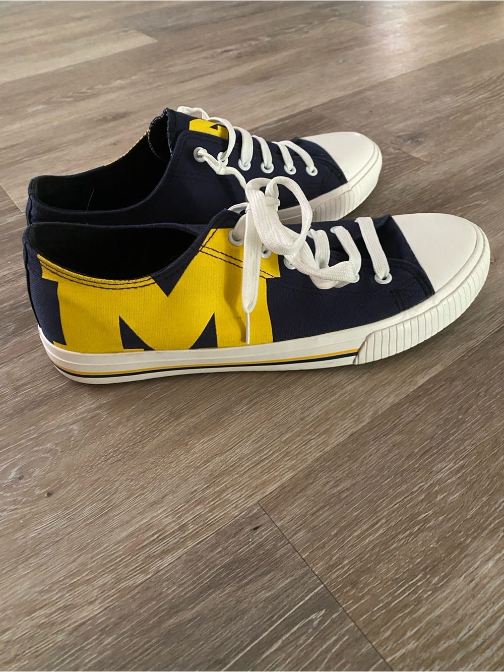 Michigan Wolverines FOCO Shoe 10